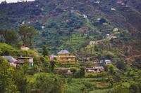 Best Romantic Dinner Spots in Kasauli for a Night to Remember