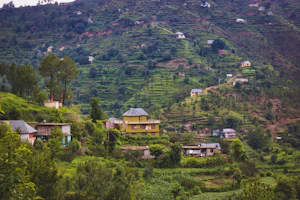 Kasauli