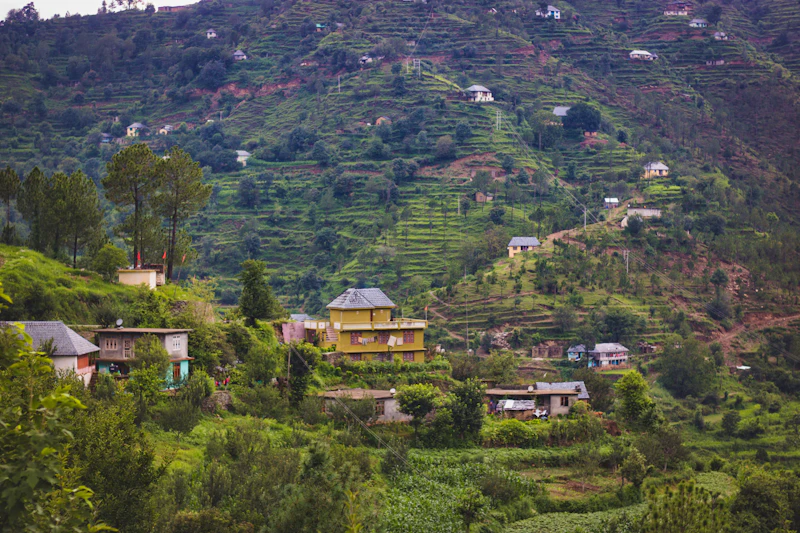 Best Romantic Dinner Spots in Kasauli for a Night to Remember