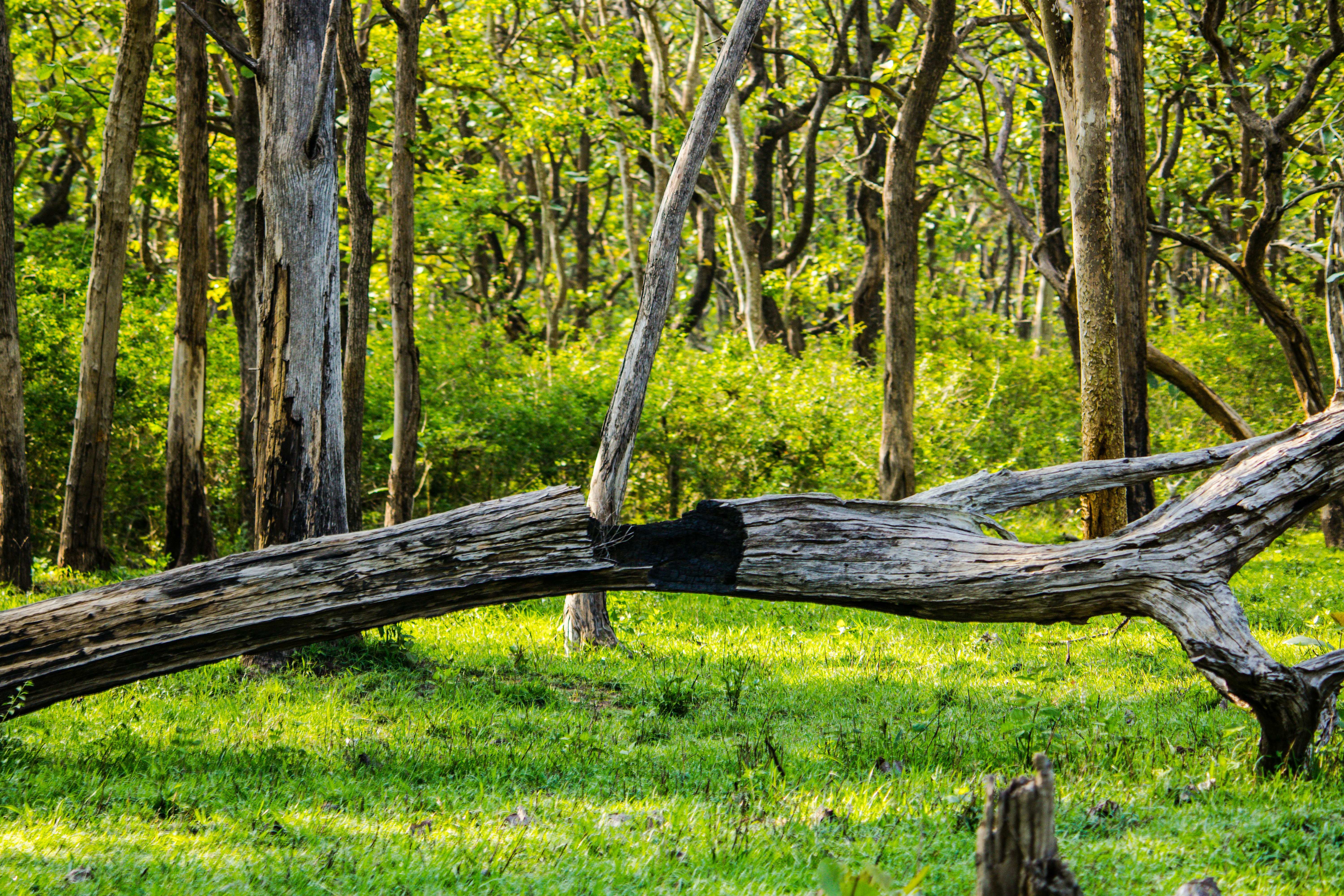 Photo by parihar_saab