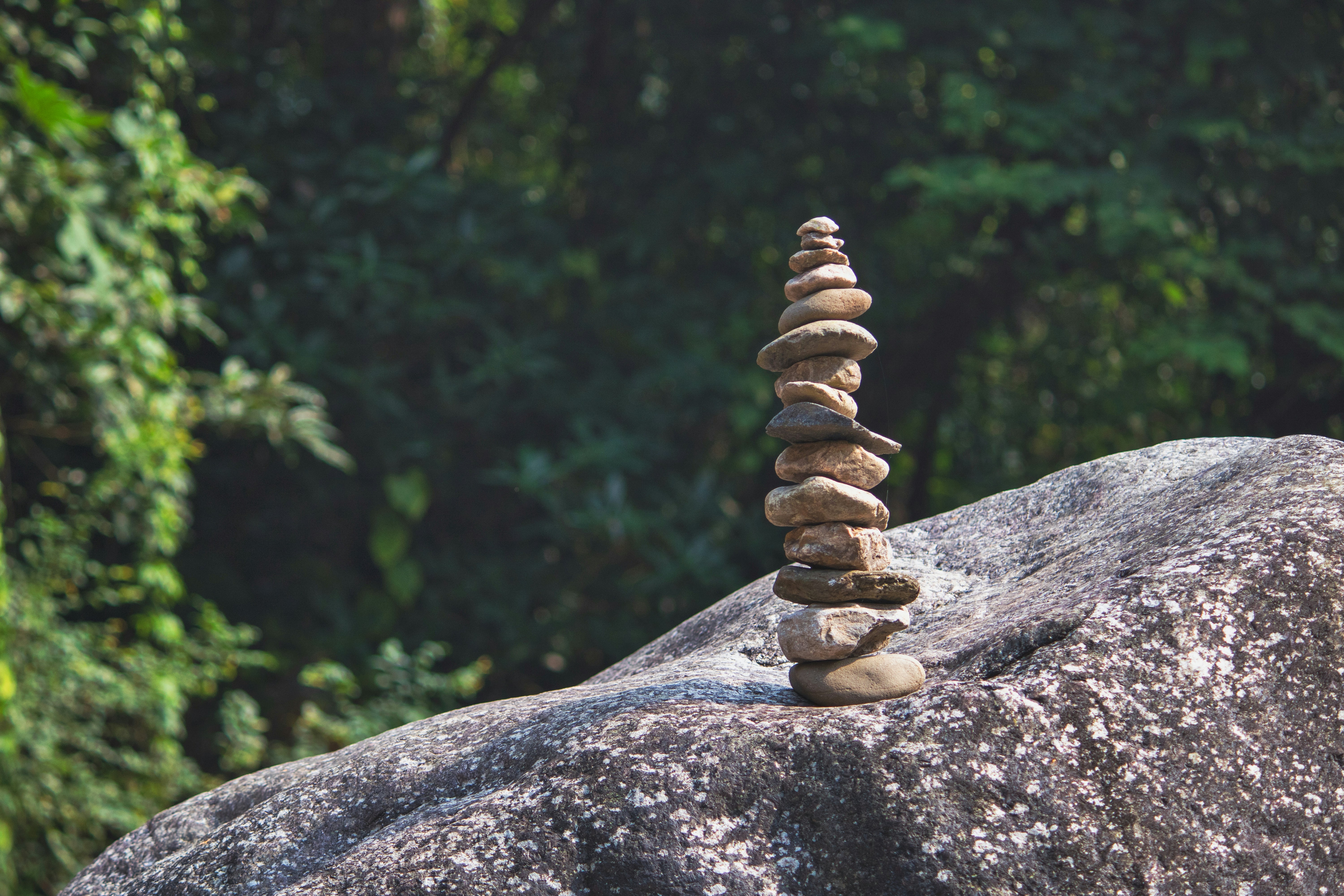 Photo by parihar_saab