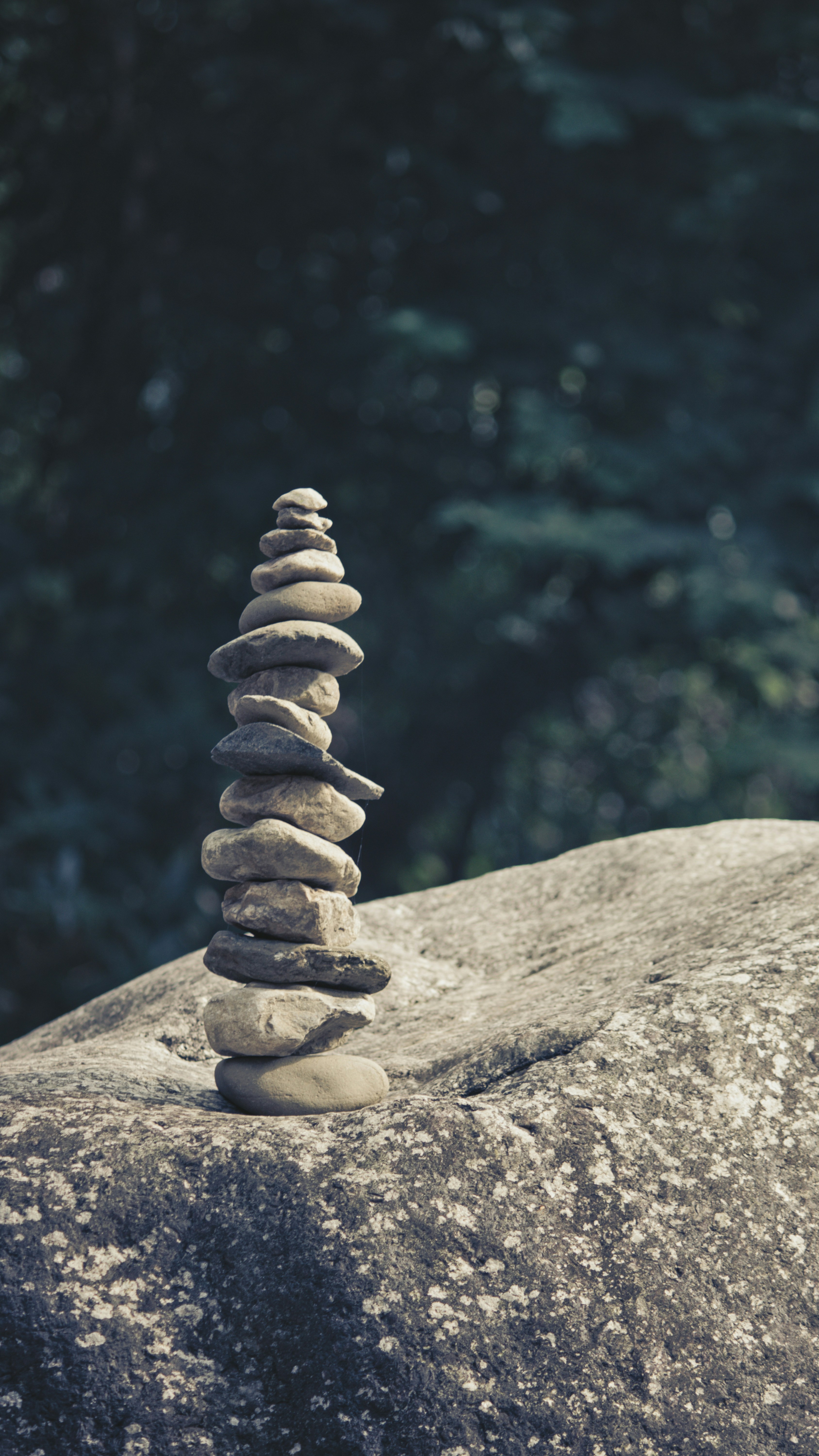 Photo by parihar_saab