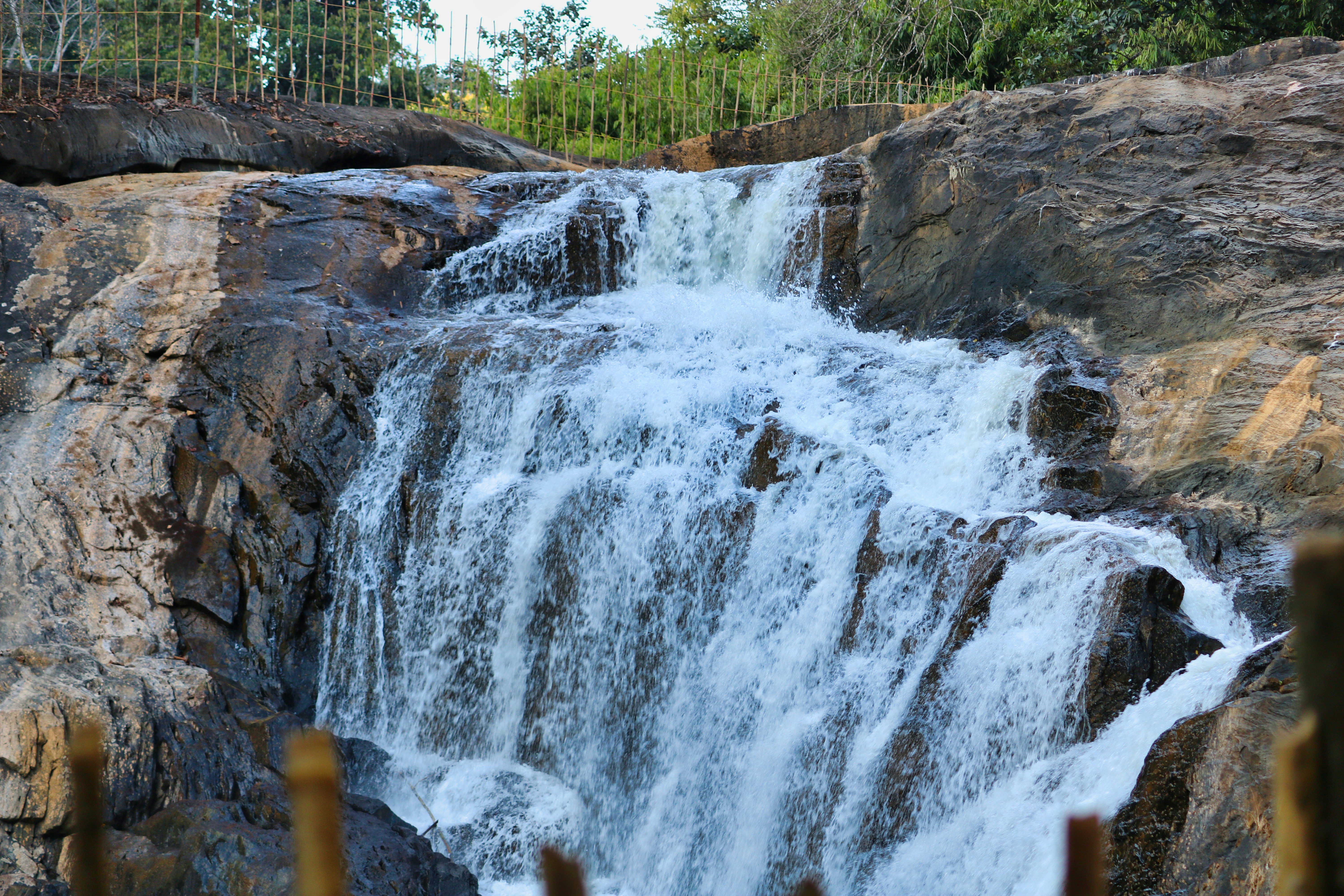 Photo by parihar_saab