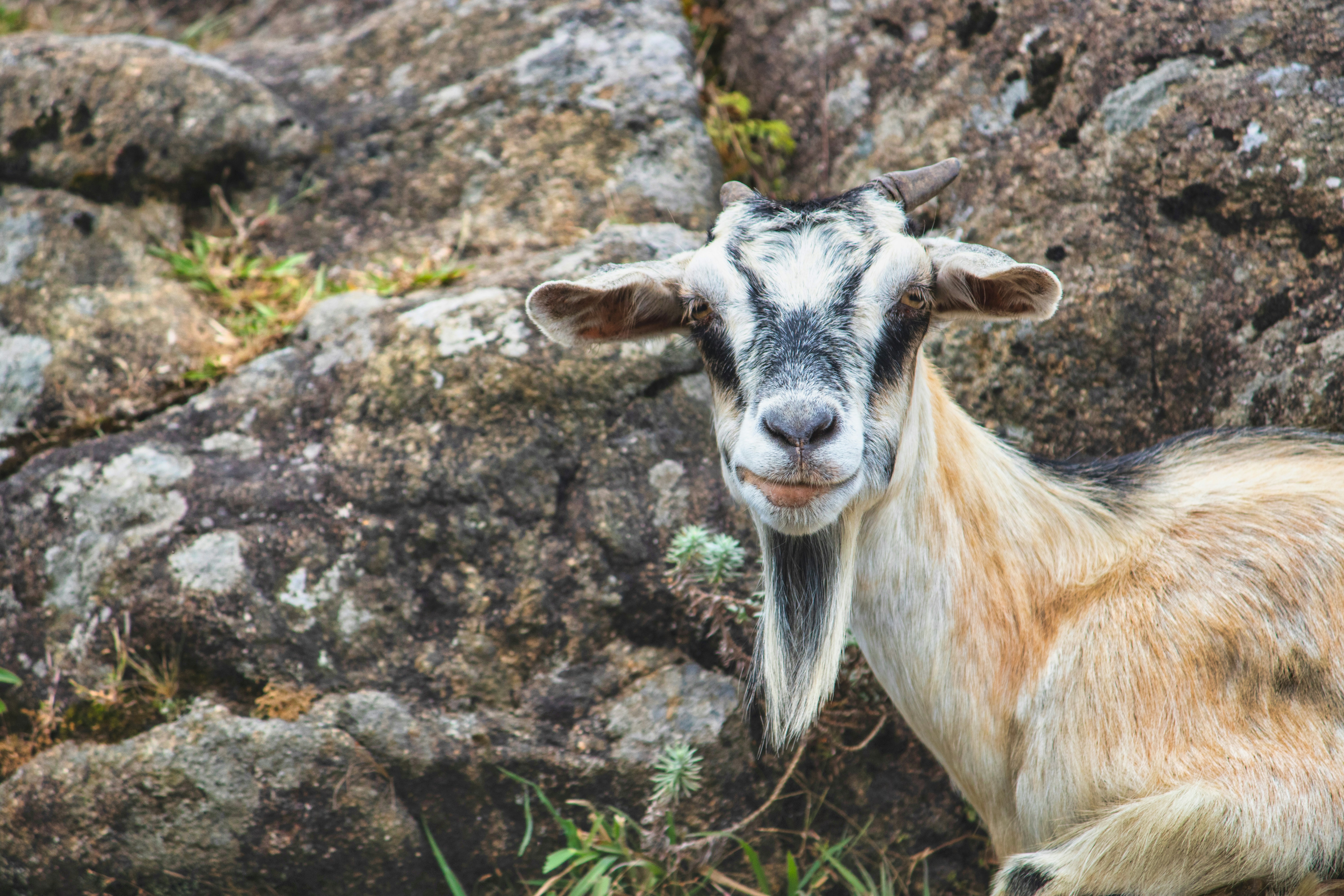 Photo by parihar_saab