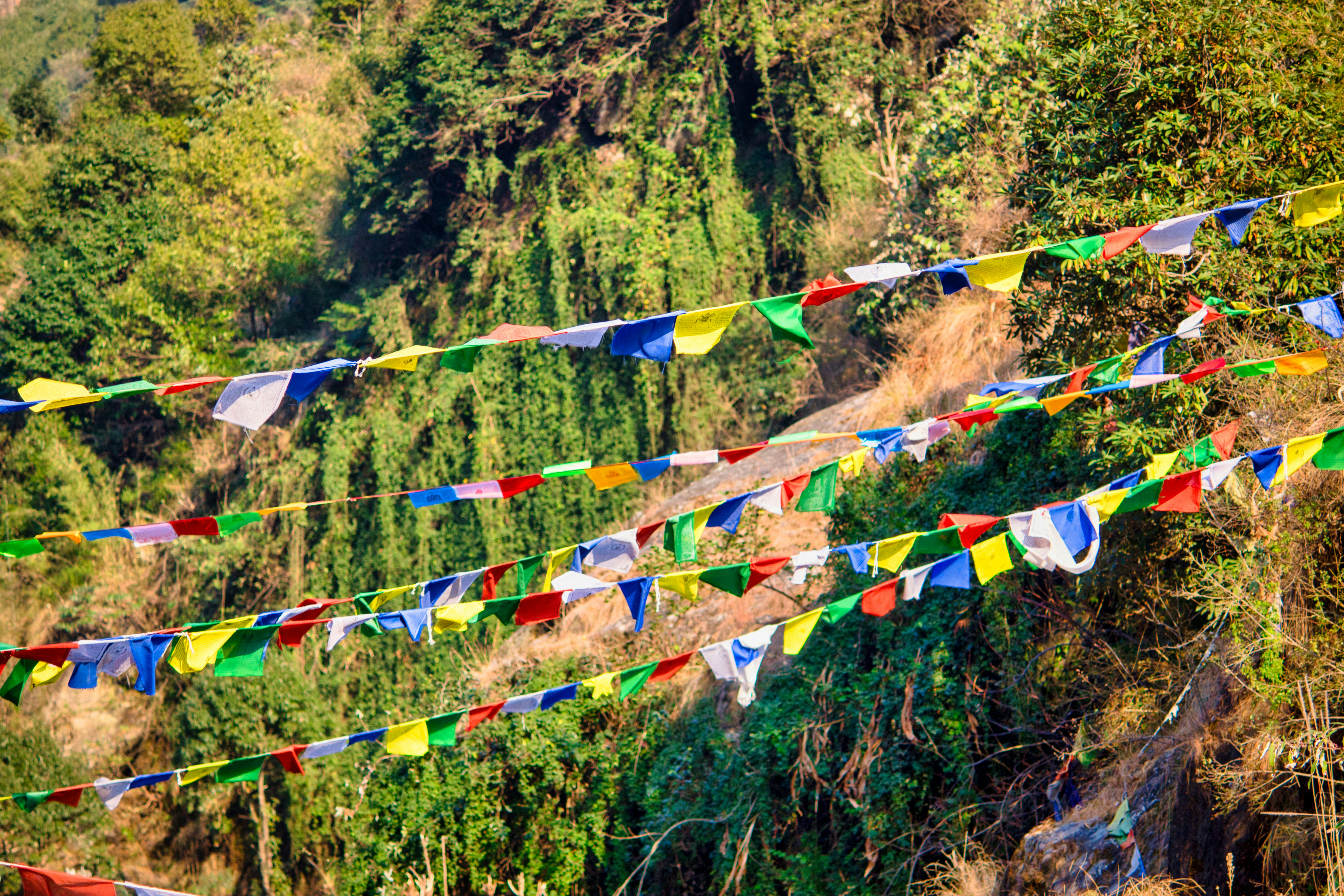 Photo by parihar_saab