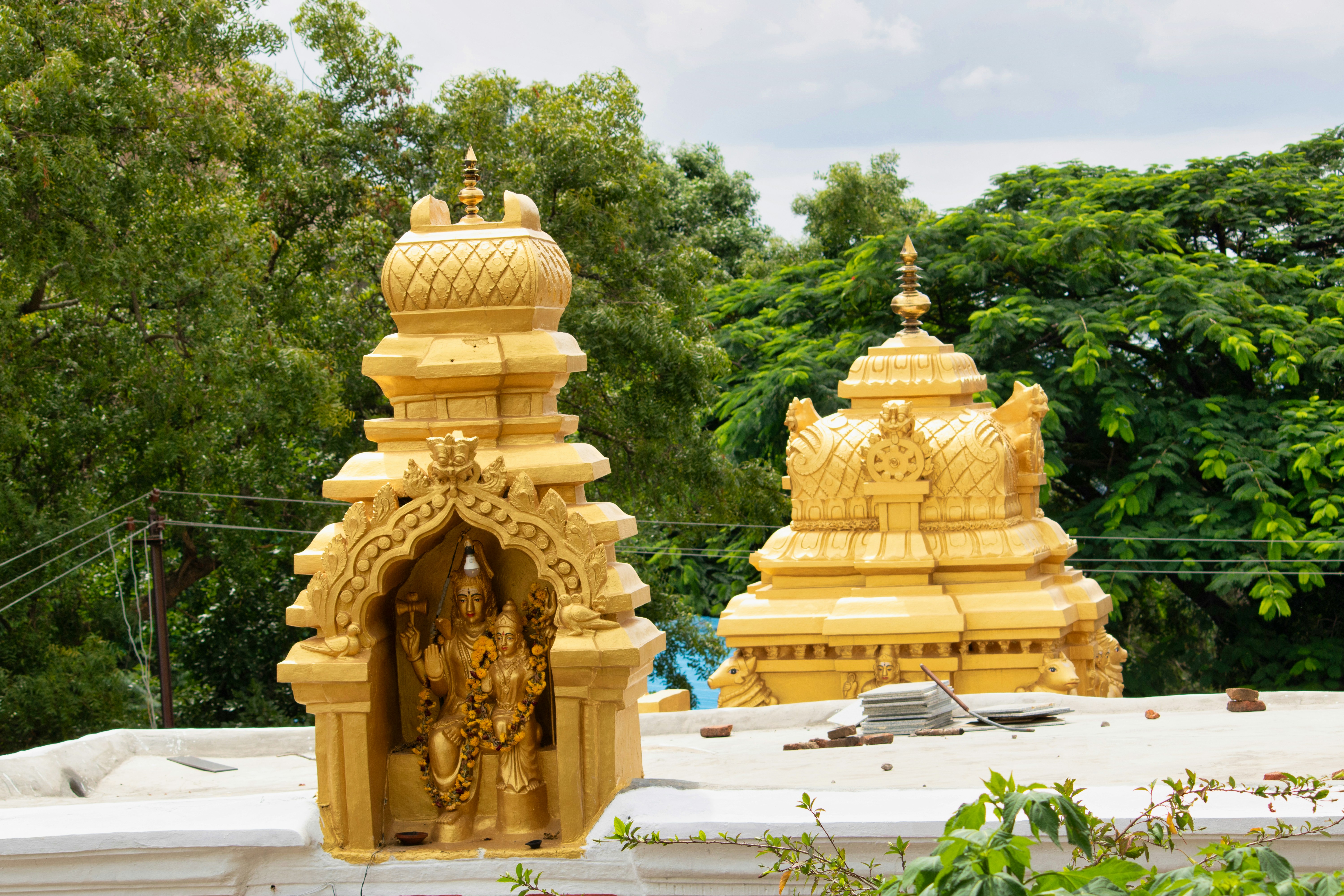 Photo by parihar_saab