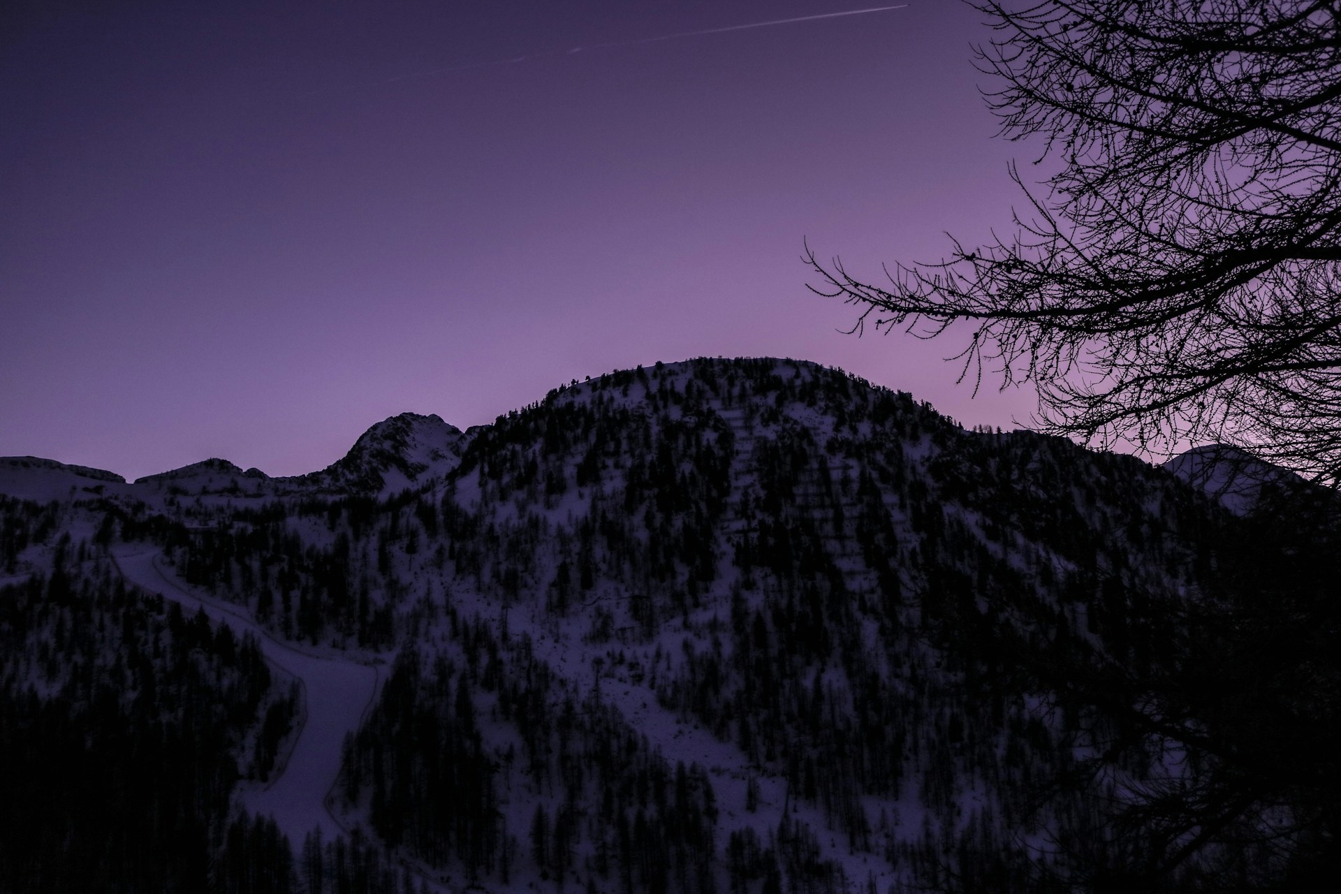 a snowy mountain with trees and a purple sky