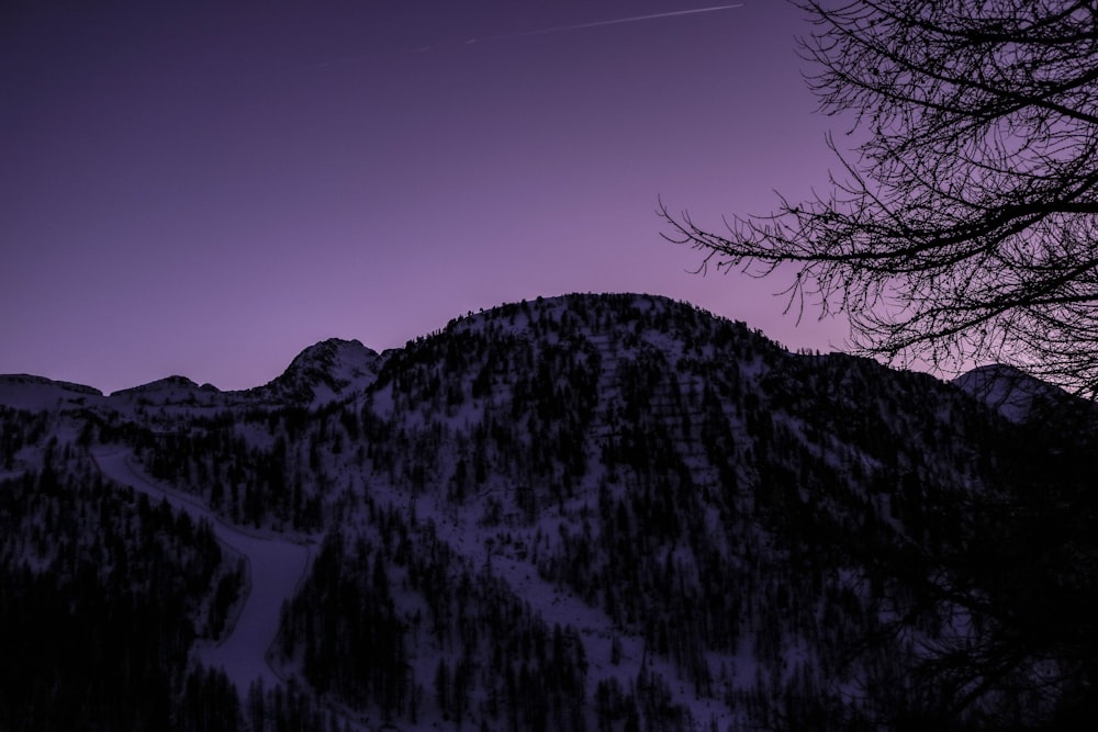 a snowy mountain with trees and a purple sky
