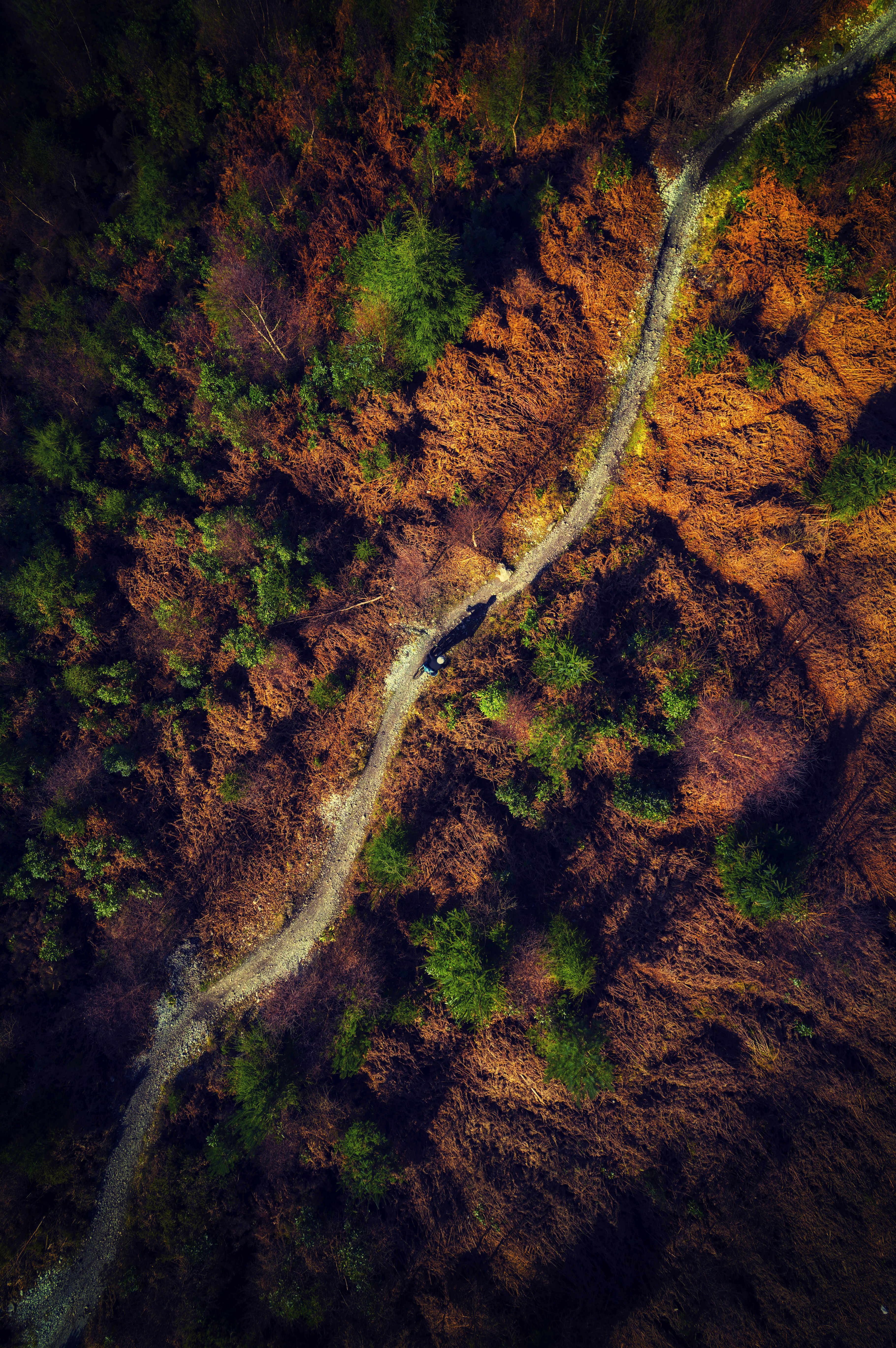 an aerial view of a dirt road in the woods