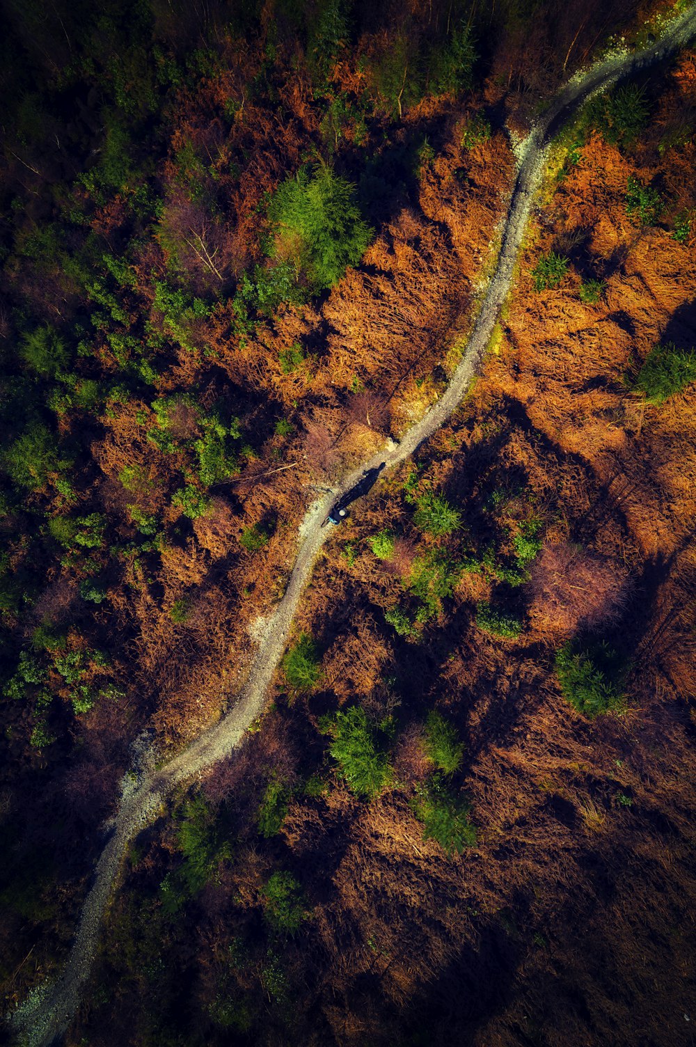 an aerial view of a dirt road in the woods