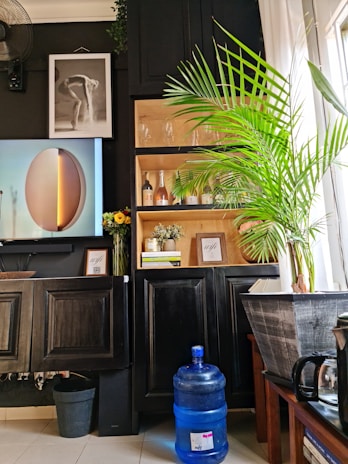 A well-arranged interior space showcasing black cabinets, a large green potted plant near a window with sheer curtains, and two pieces of framed wall art. One artwork features a modern, abstract design, while the other depicts a black and white photograph of a human figure. A shelf displays glassware and bottles, and a blue water dispenser sits on the floor. A bouquet of sunflowers adds a pop of color.