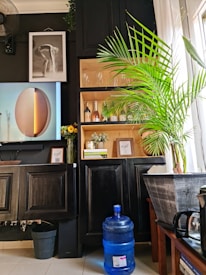 A well-arranged interior space showcasing black cabinets, a large green potted plant near a window with sheer curtains, and two pieces of framed wall art. One artwork features a modern, abstract design, while the other depicts a black and white photograph of a human figure. A shelf displays glassware and bottles, and a blue water dispenser sits on the floor. A bouquet of sunflowers adds a pop of color.