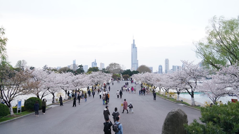 a group of people walking down a street next to trees