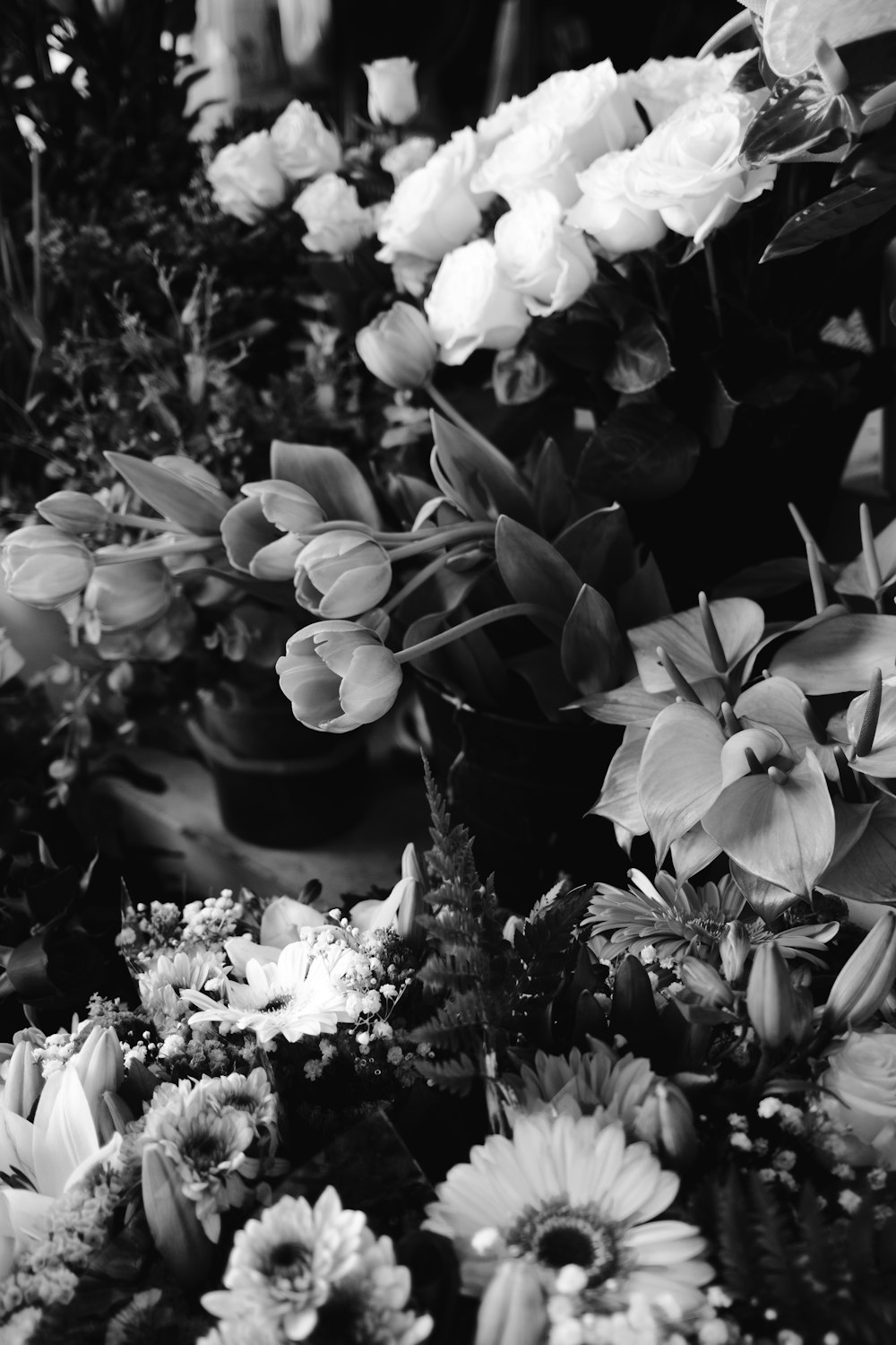 a black and white photo of a bunch of flowers