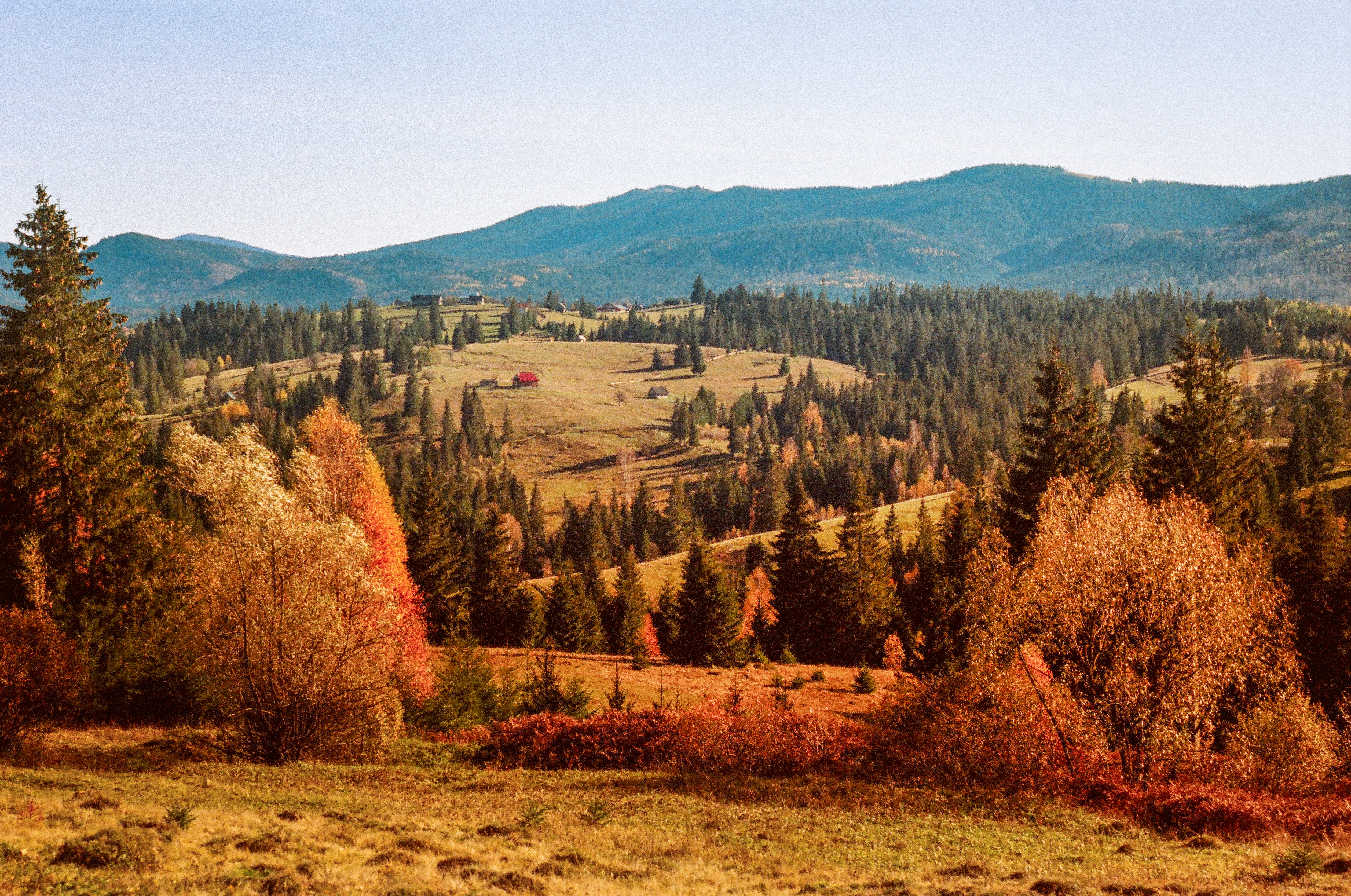 Photo by margarita_ua