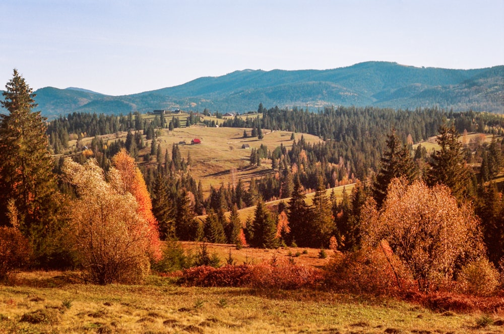 a scenic view of a mountain range with trees in the foreground