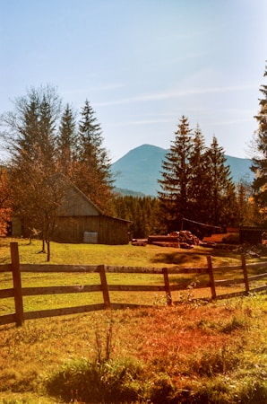 A rustic countryside scene featuring a wooden barn surrounded by tall trees and a wooden fence. The backdrop includes a mountain range under a clear blue sky. The foreground displays a grassy area with some autumn-colored foliage.