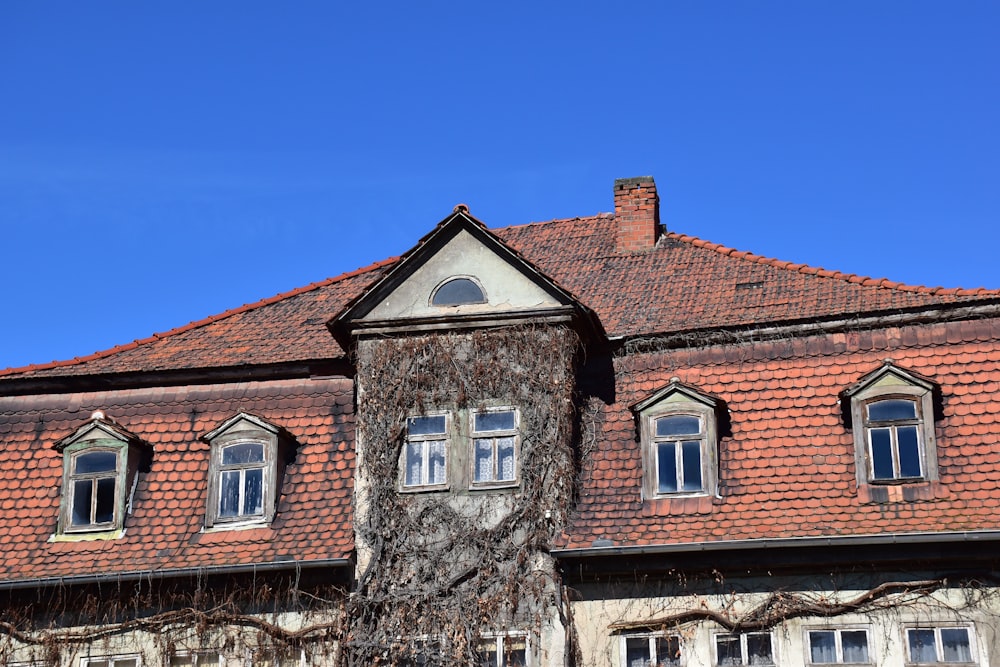 an old building with a tree growing out of it