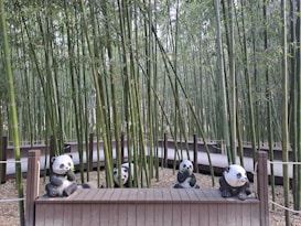Several panda statues are arranged in a bamboo forest, with a wooden walkway weaving through the tall, dense bamboo stalks. The panda figures are sitting on a wooden platform, each posed in a playful manner.