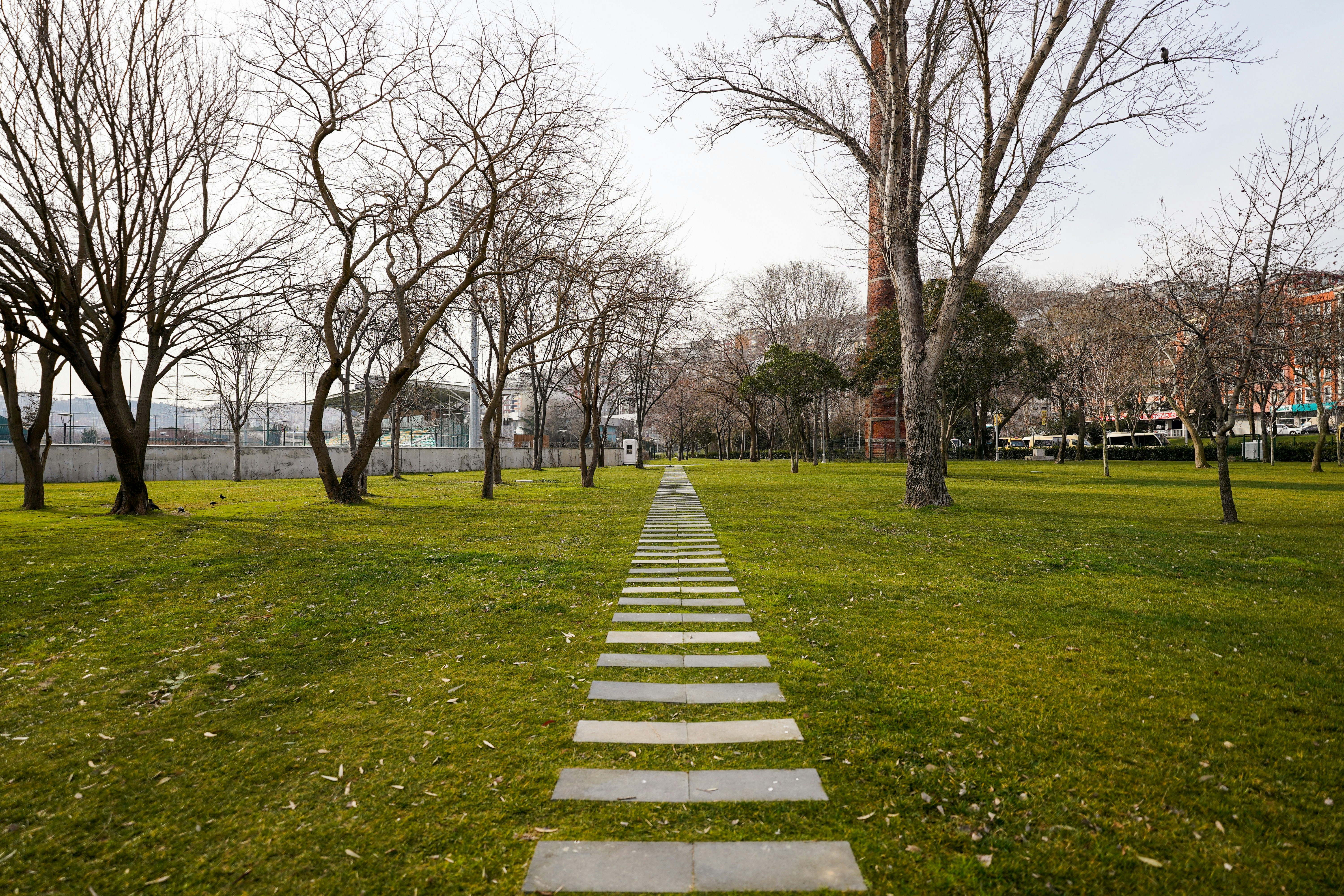 a stone path in the middle of a park