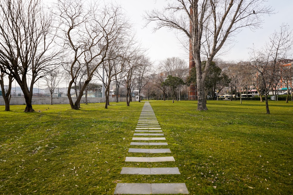 a stone path in the middle of a park