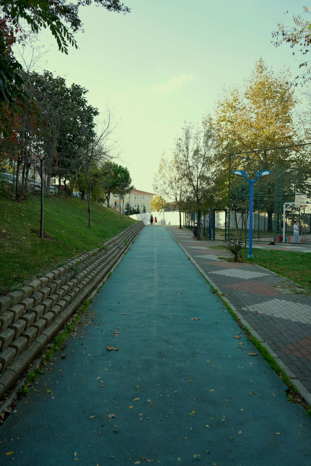 eine gepflasterte Straße mit einem Park im Hintergrund