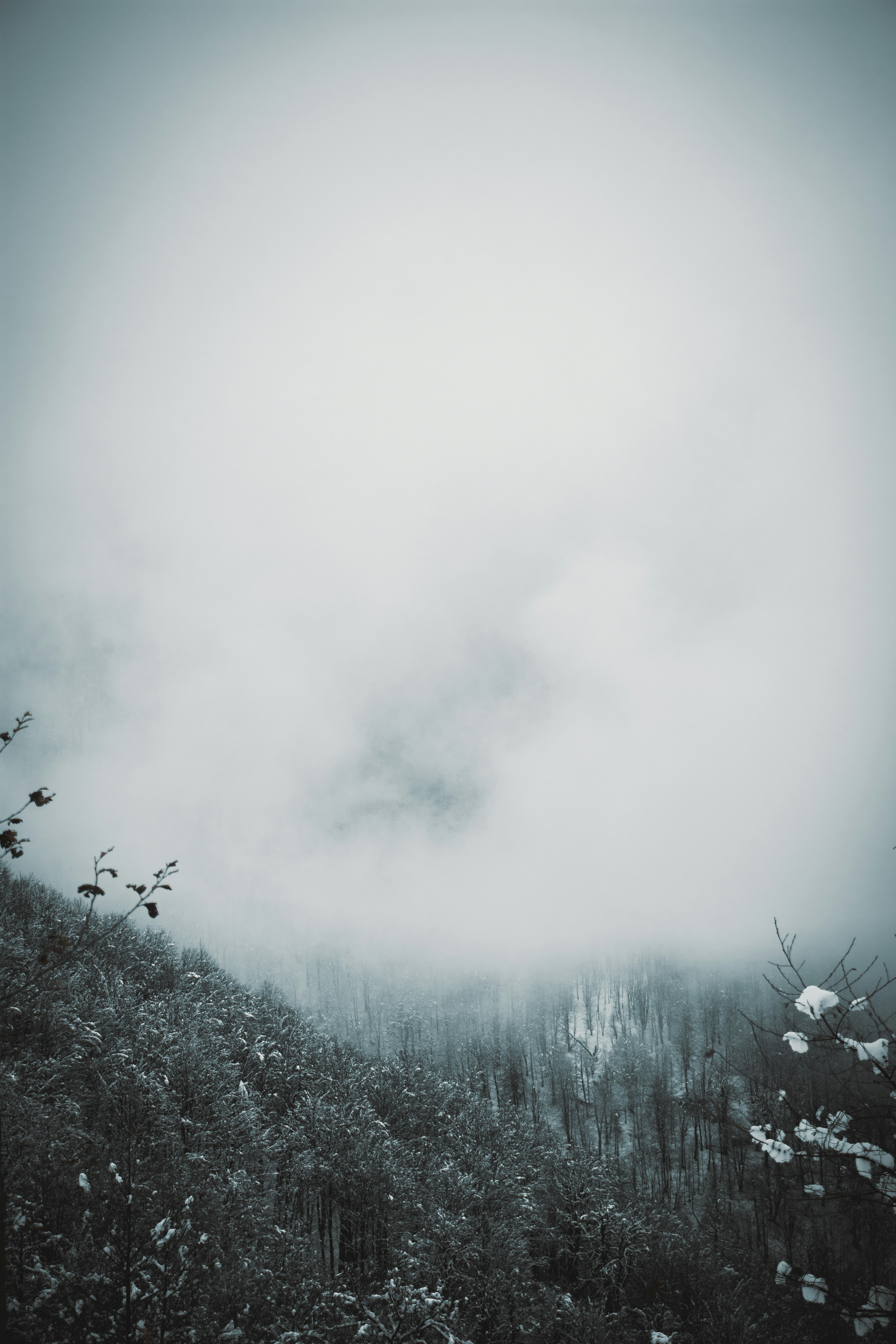 Photo by navidsohrabi