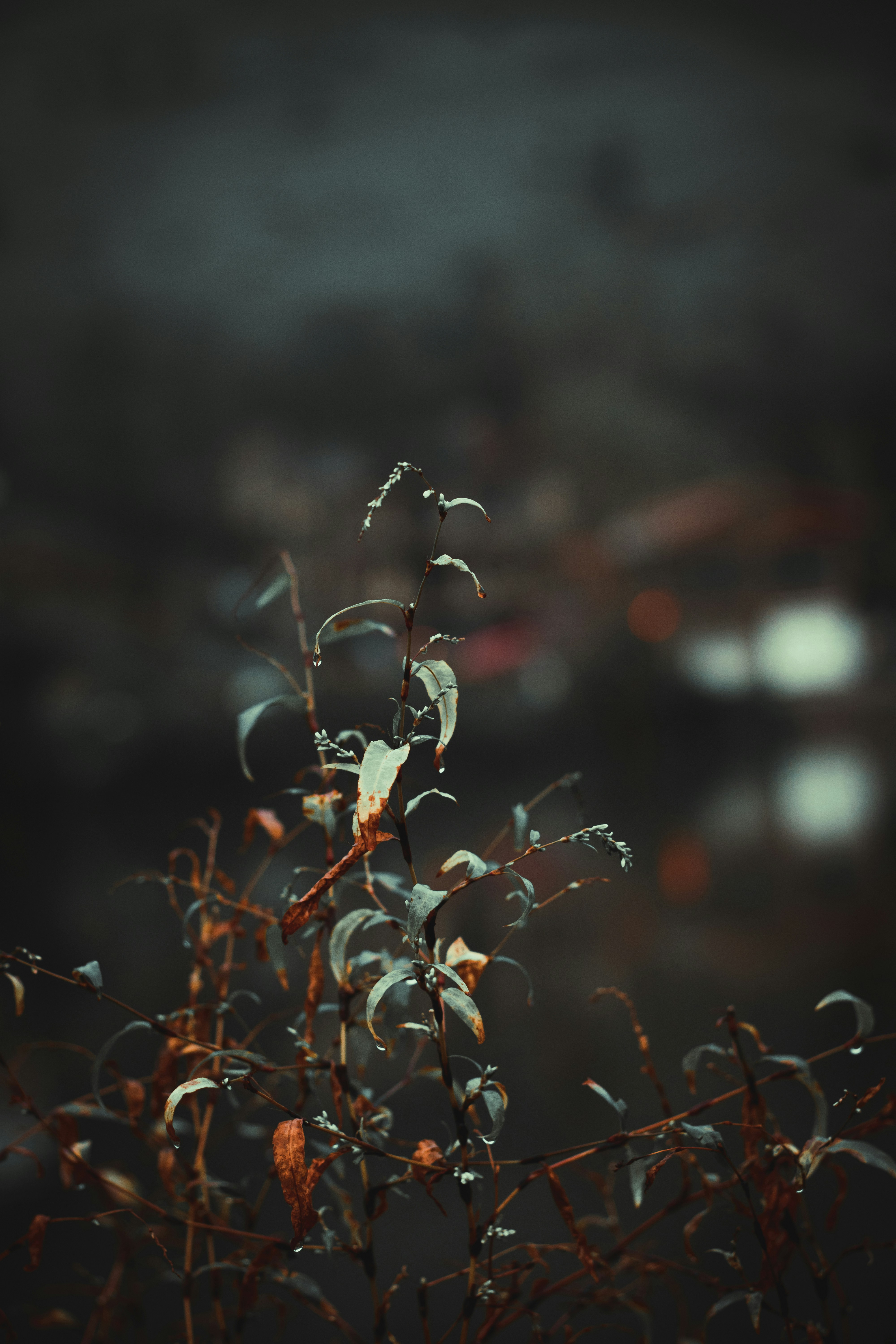 Photo by navidsohrabi