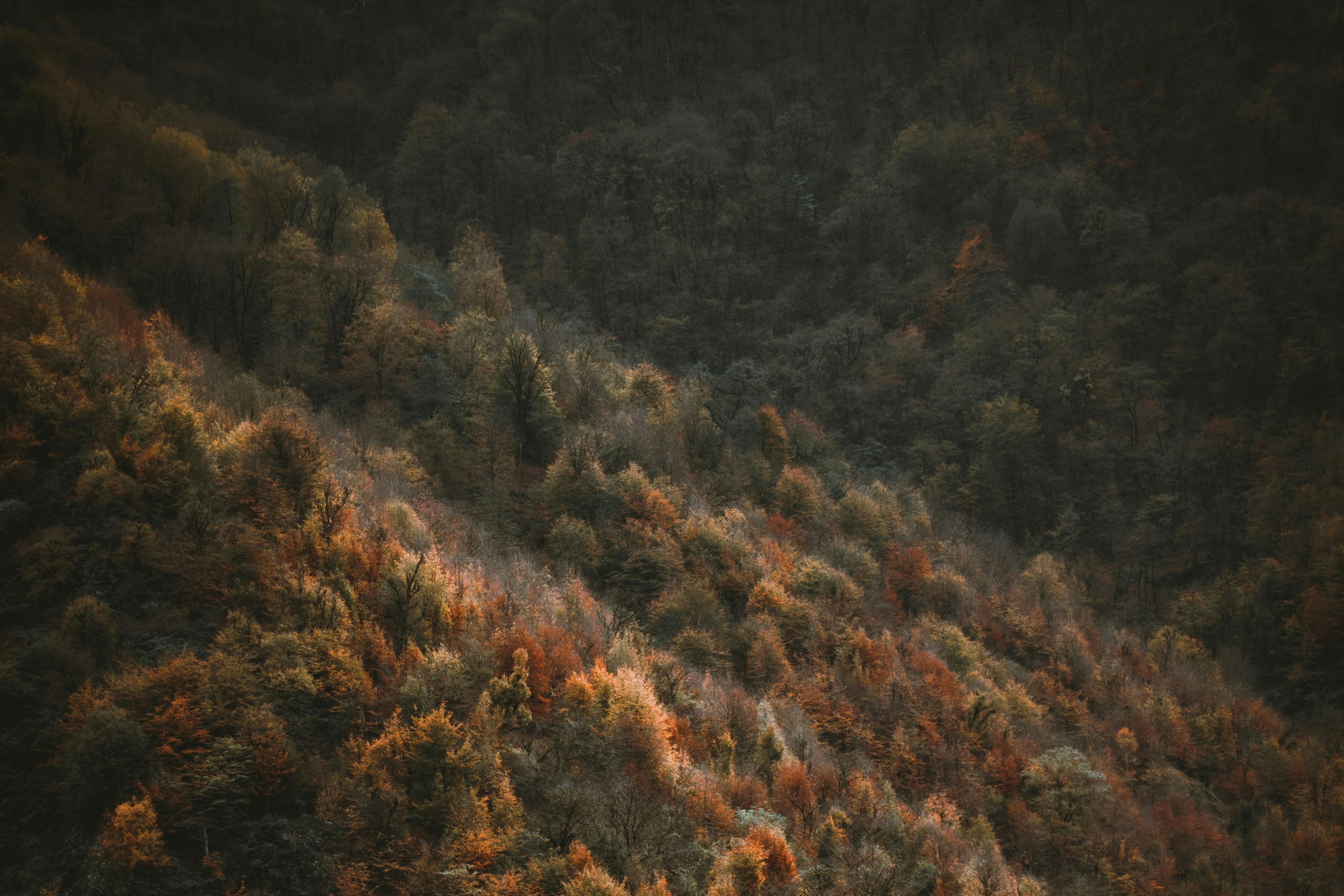 Photo by navidsohrabi