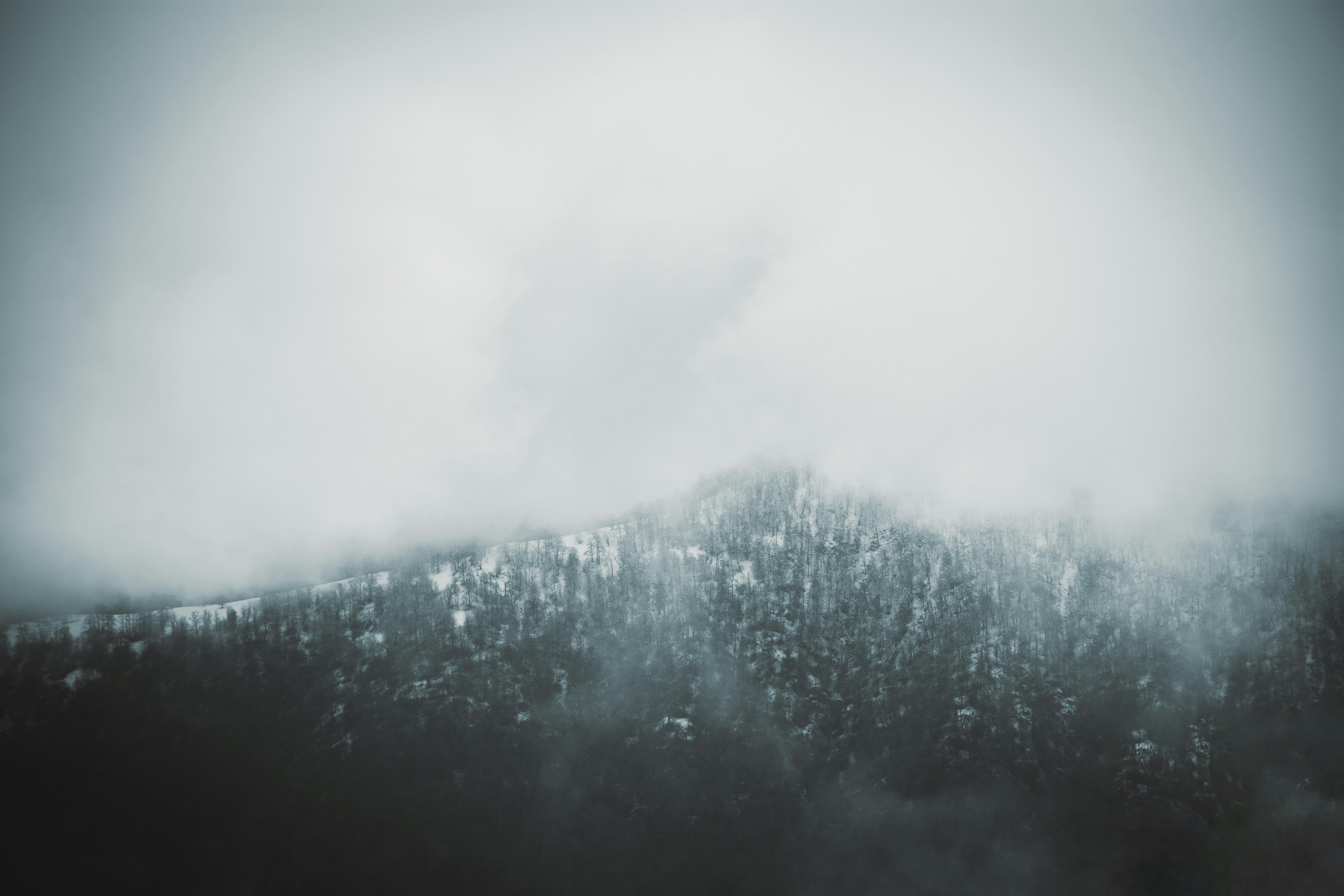 Photo by navidsohrabi