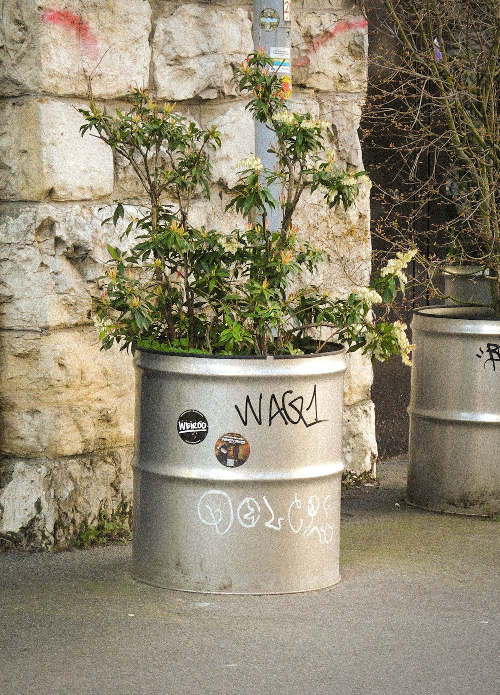 a couple of metal barrels with plants in them