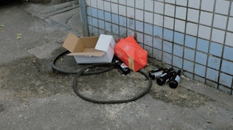 A group of friends discovering a coupon box hidden in an urban park setting.