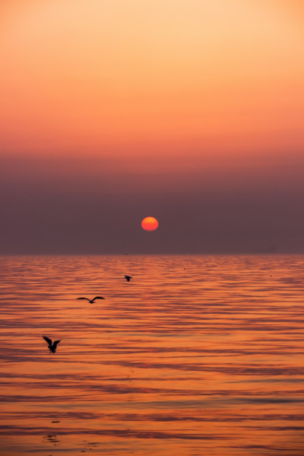 a sunset over the ocean with birds flying in the air