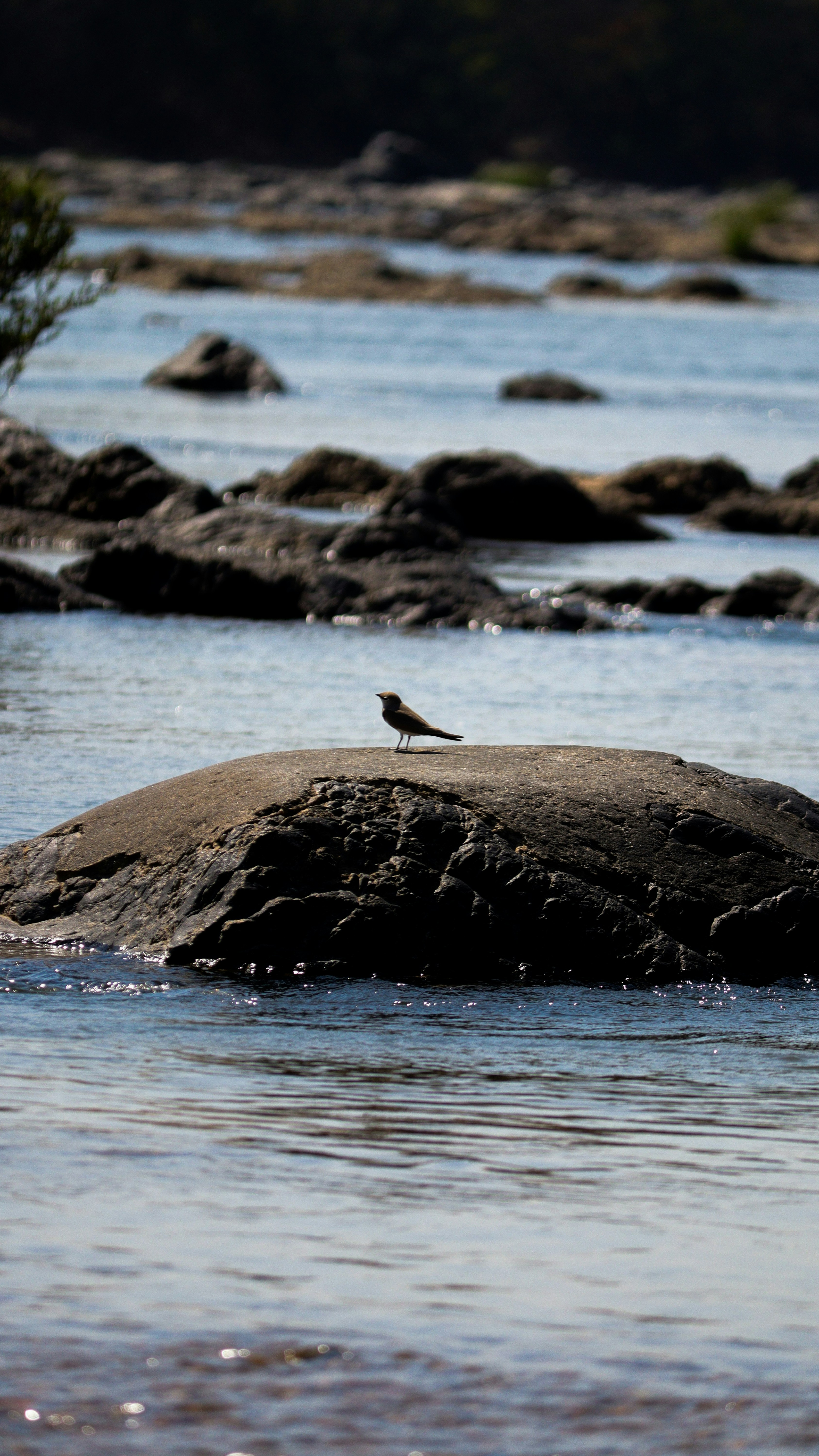 Photo by saravanan_sudalaimuthu