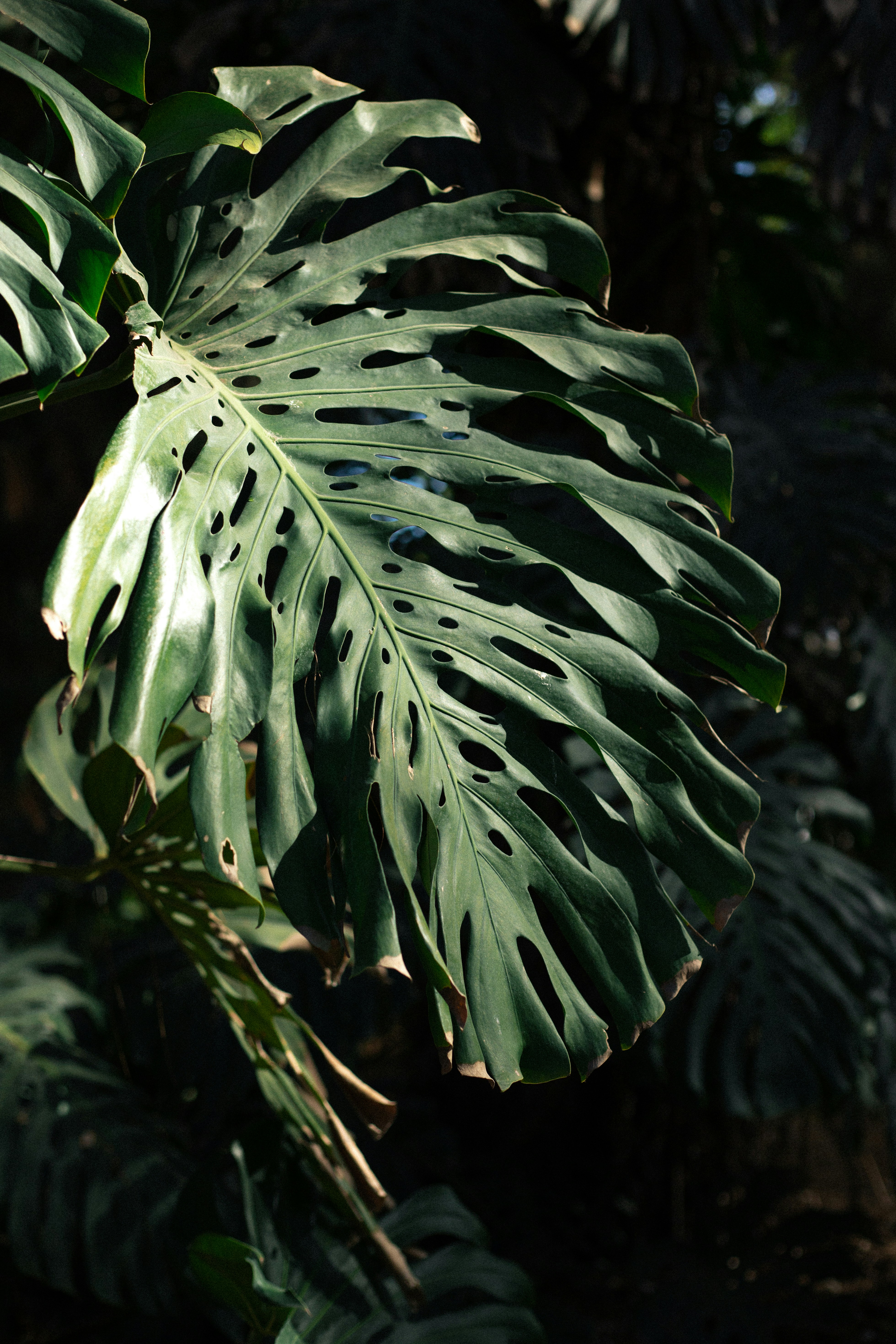 Photo by juliamatuzova