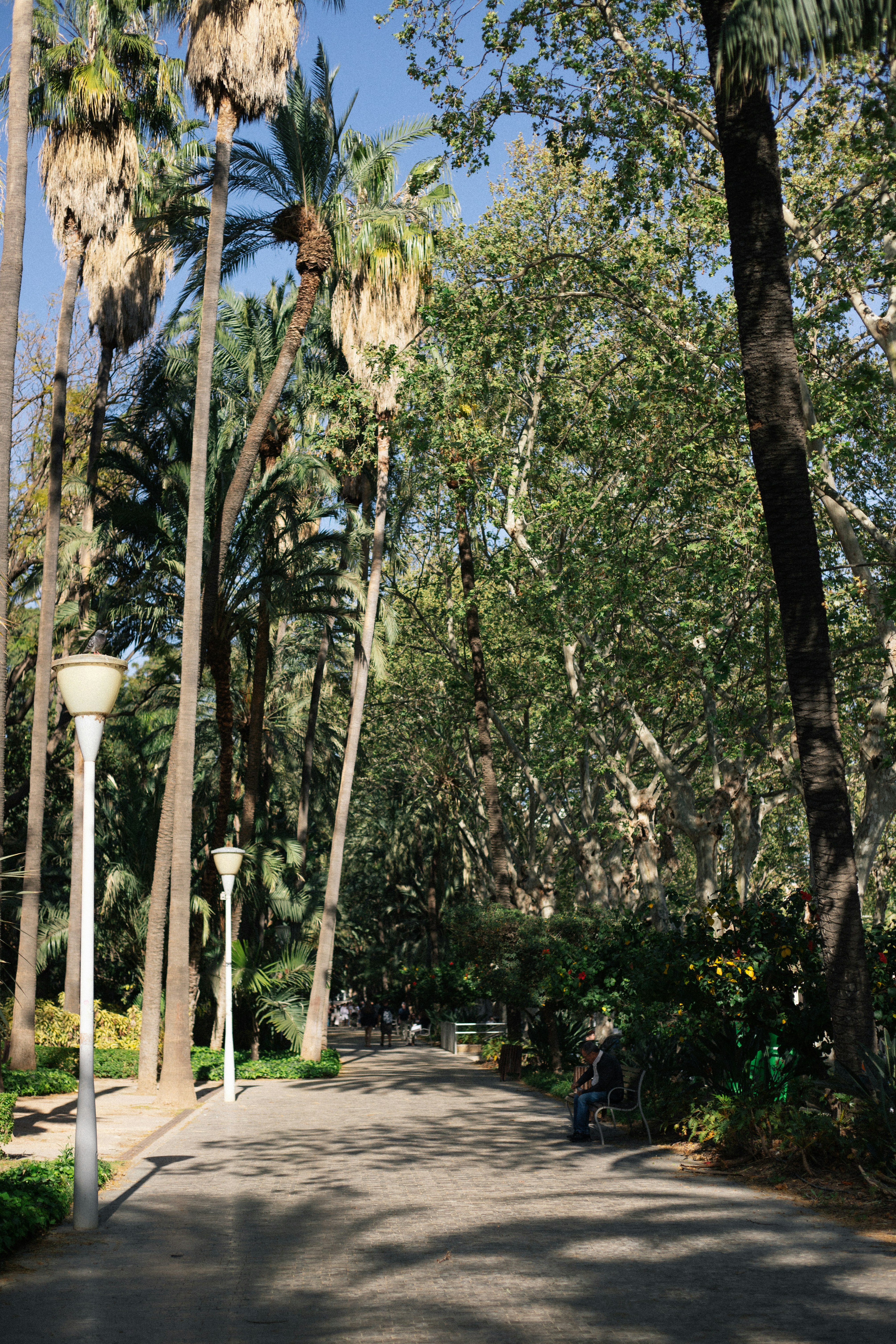 Photo by juliamatuzova