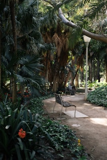 A lush, green park scene with dense foliage and palm trees. A dirt pathway curves through the park with a couple of wooden benches along the side. A person is seated on one of the benches, enjoying the tranquility. A lamppost stands next to the path, partially shaded by tree branches. Bright orange flowers and various green plants line the pathway, creating a serene and inviting atmosphere.