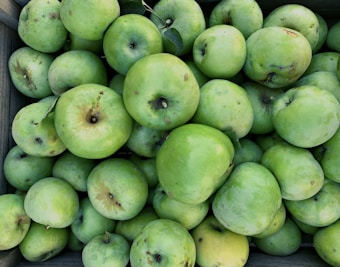 A large pile of green apples with varying shades of green, some showing signs of slight bruising and imperfections. They are nestled closely together in what seems to be a wooden crate.