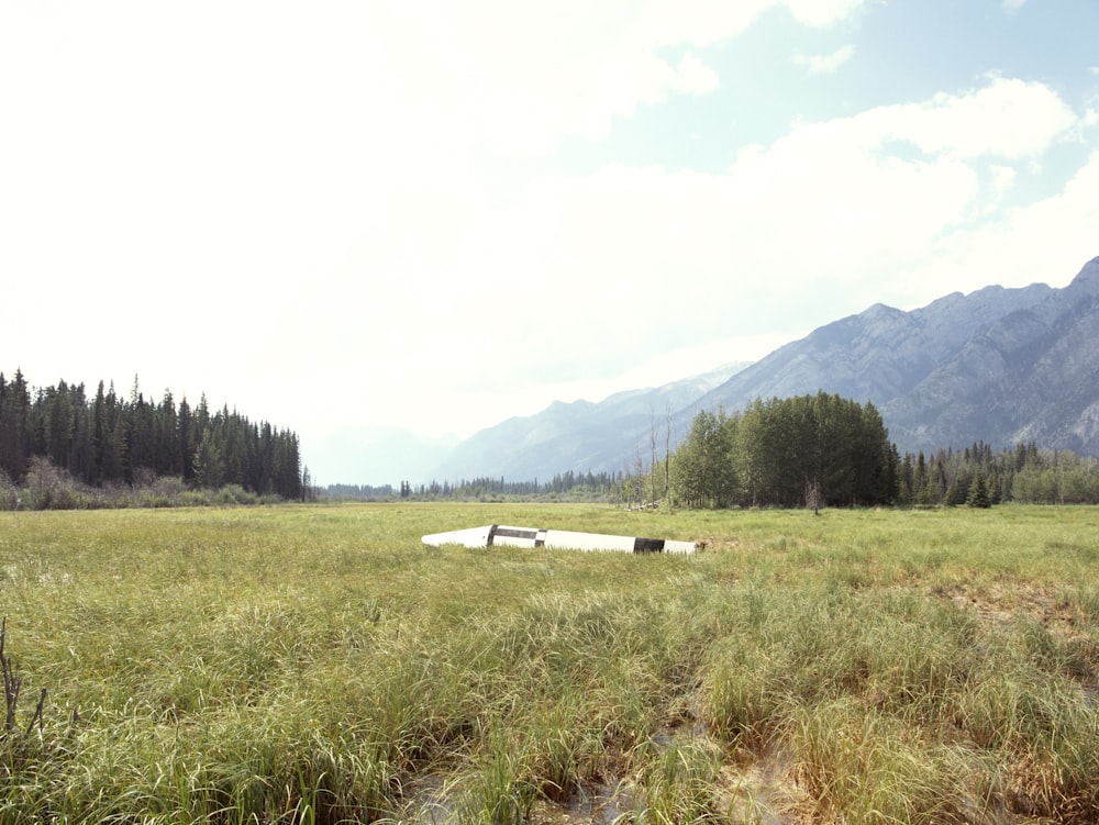 a large open field with a crashed rocket in the middle of it