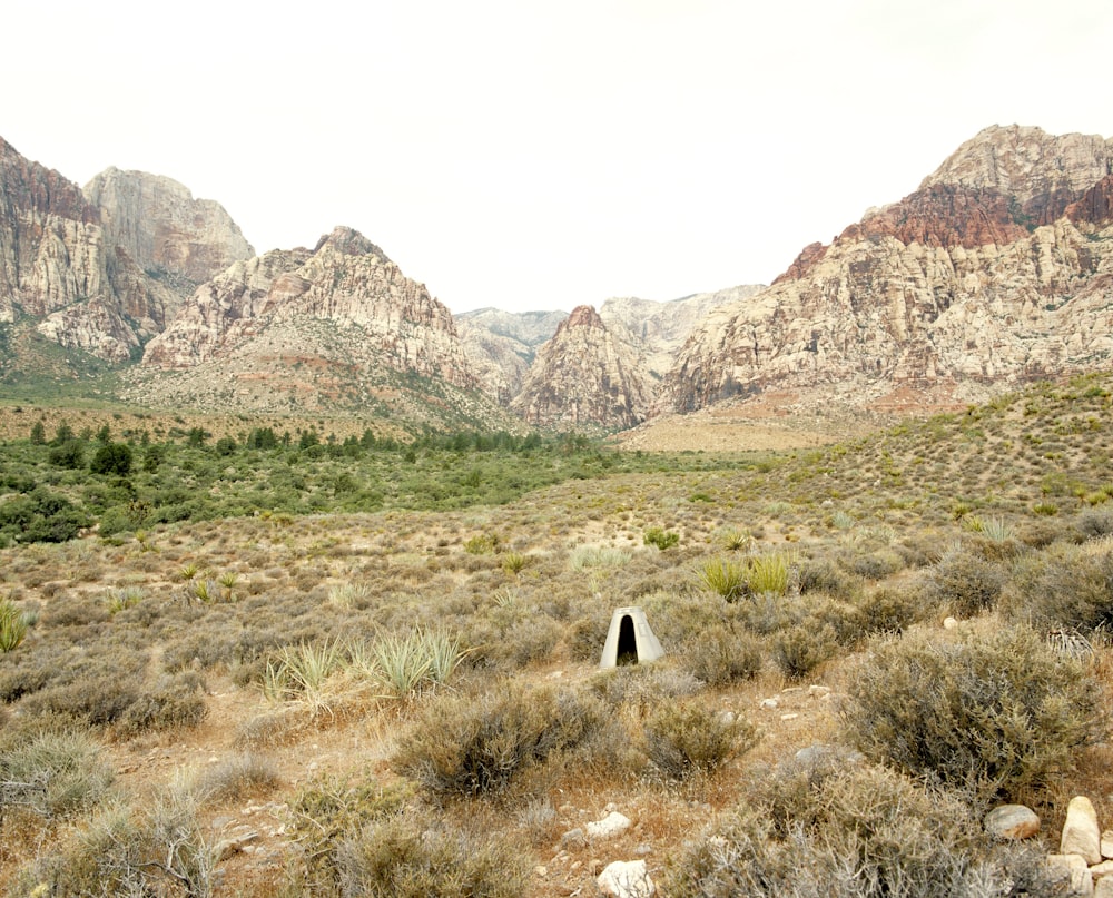 a mountain range with trees and bushes in the foreground