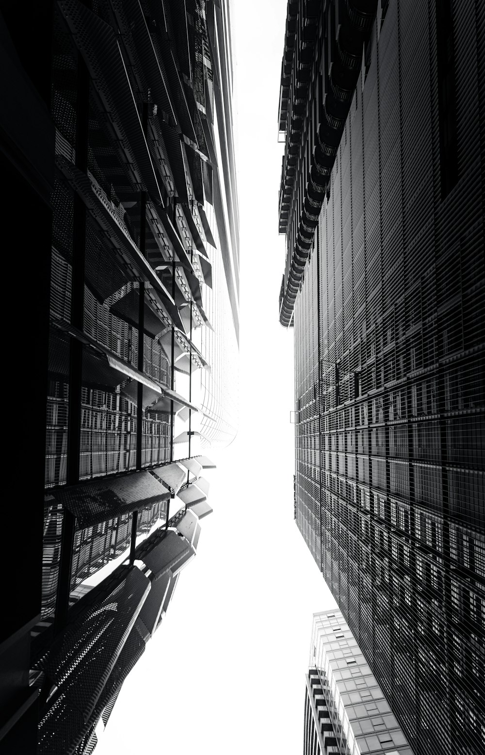 a black and white photo of tall buildings