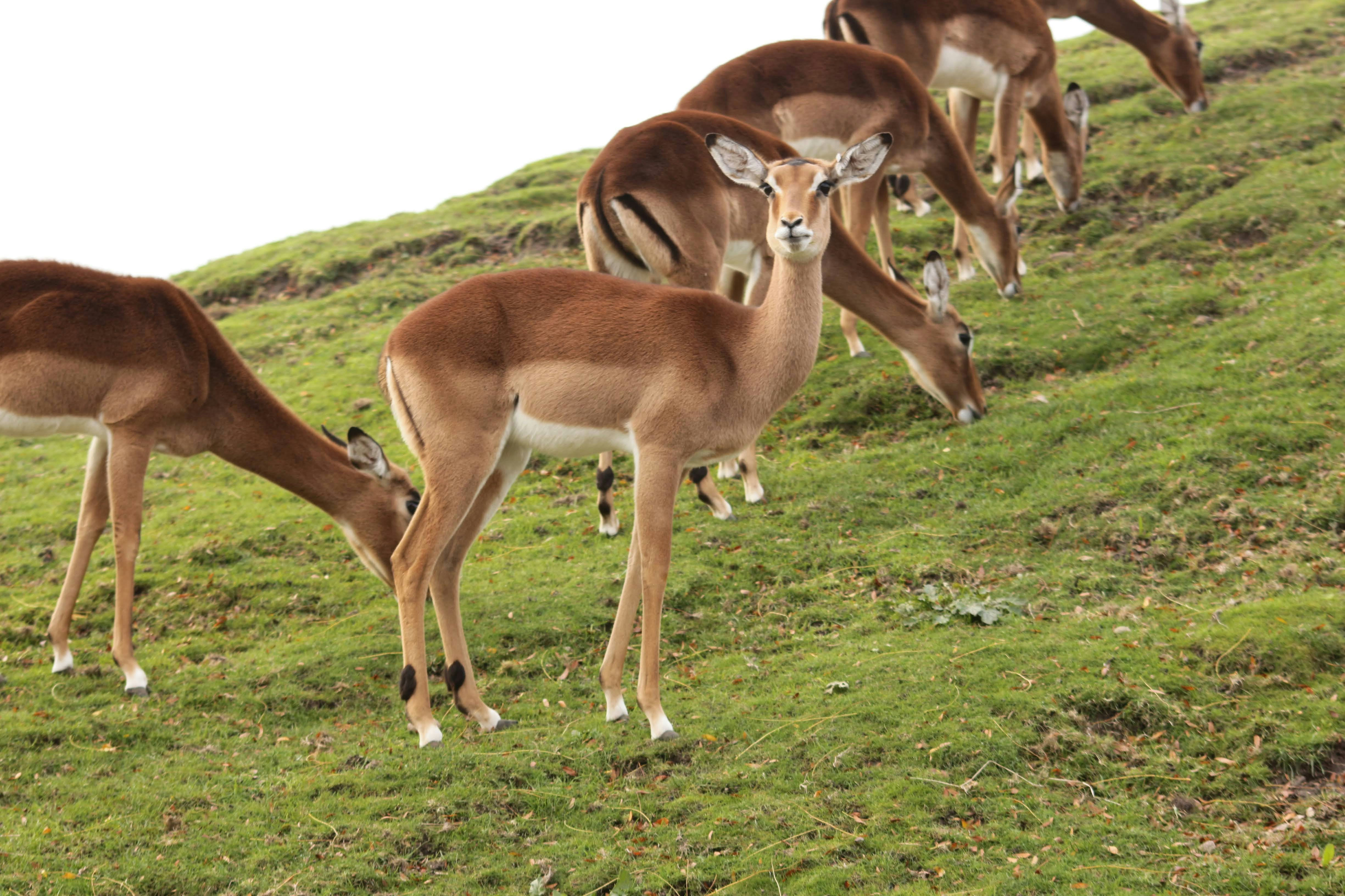 Photo by vanelkphotography