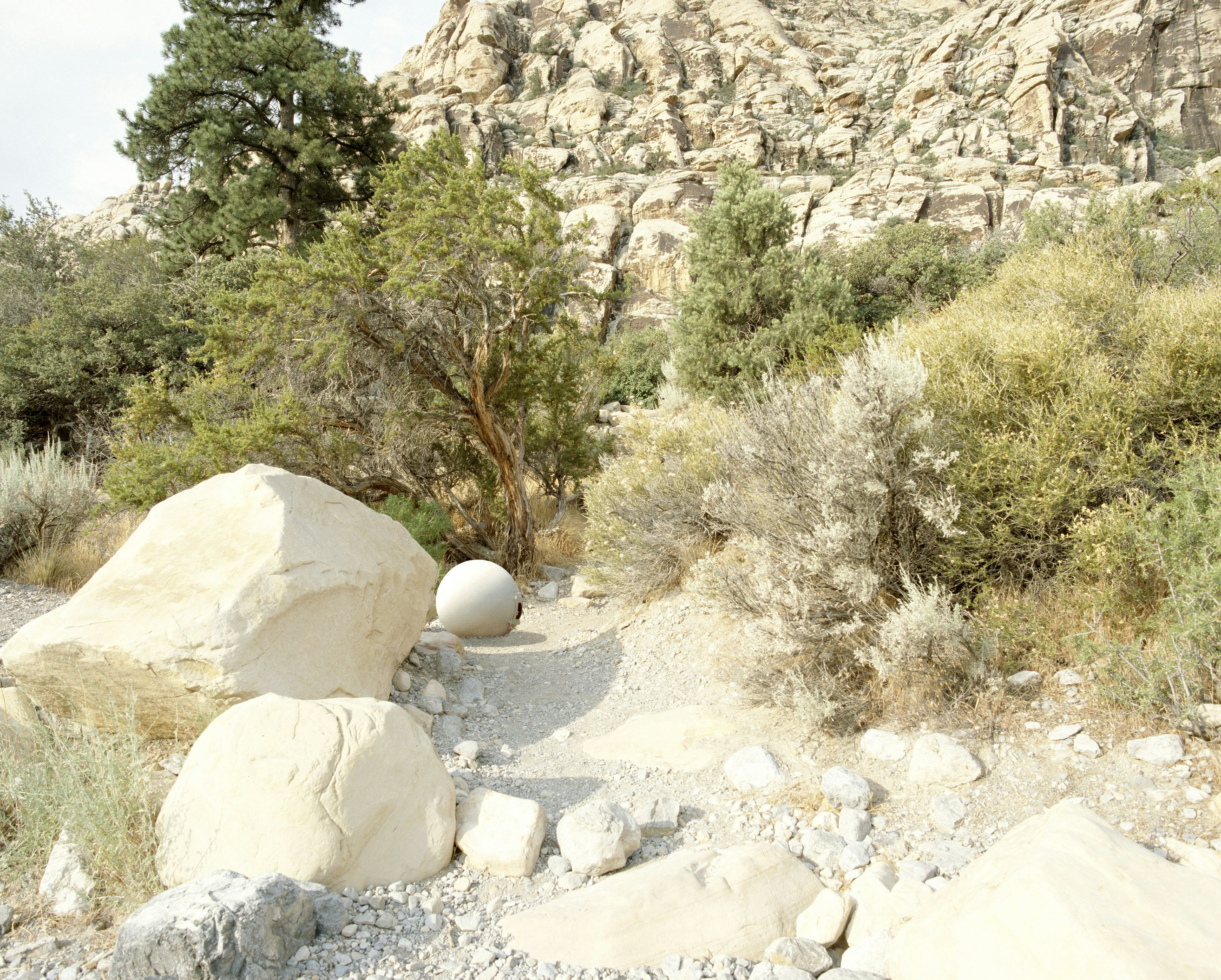 MTM English: A Little Piece of Ground (Palestine Novel Study)