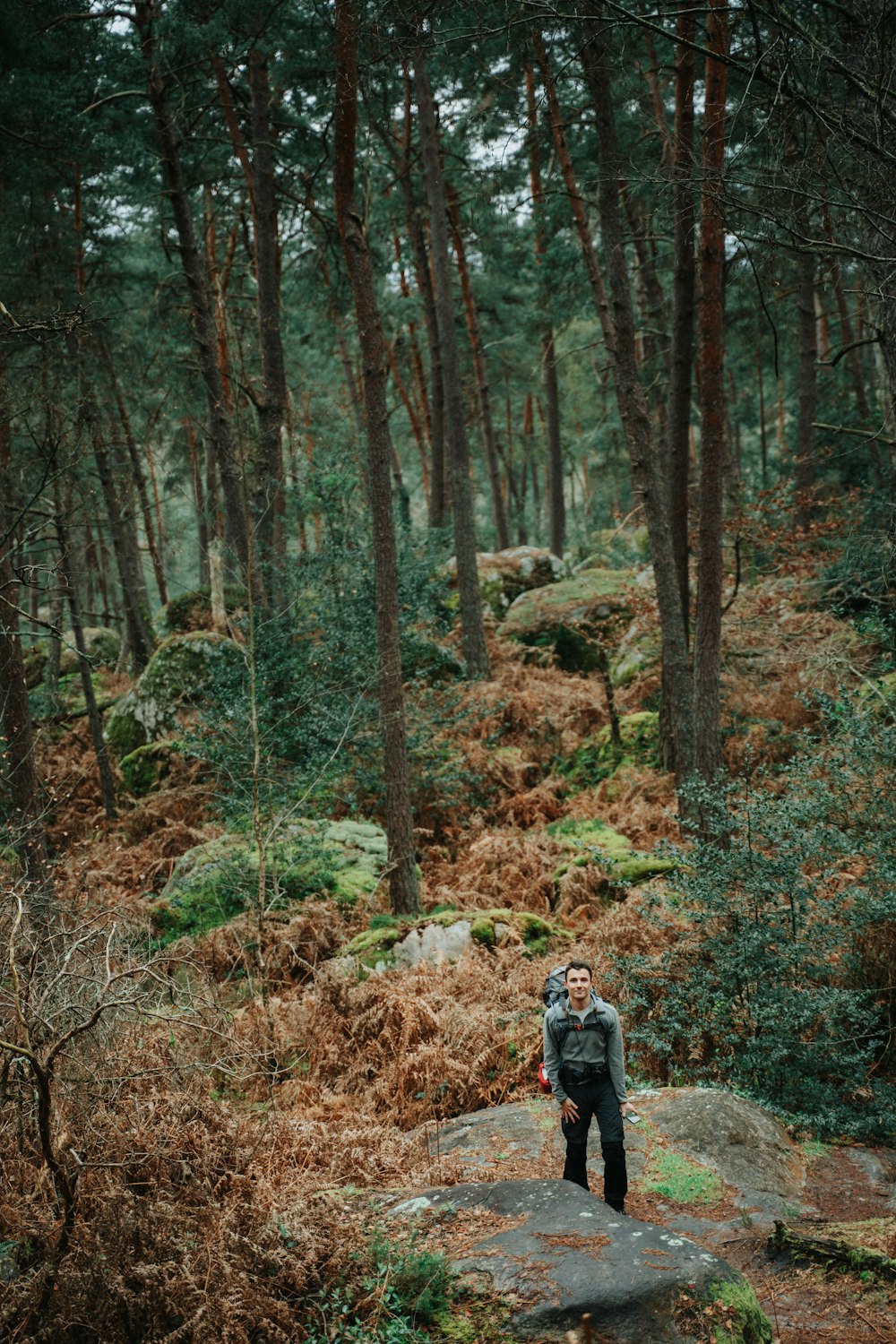 a man standing on a rock in the middle of a forest