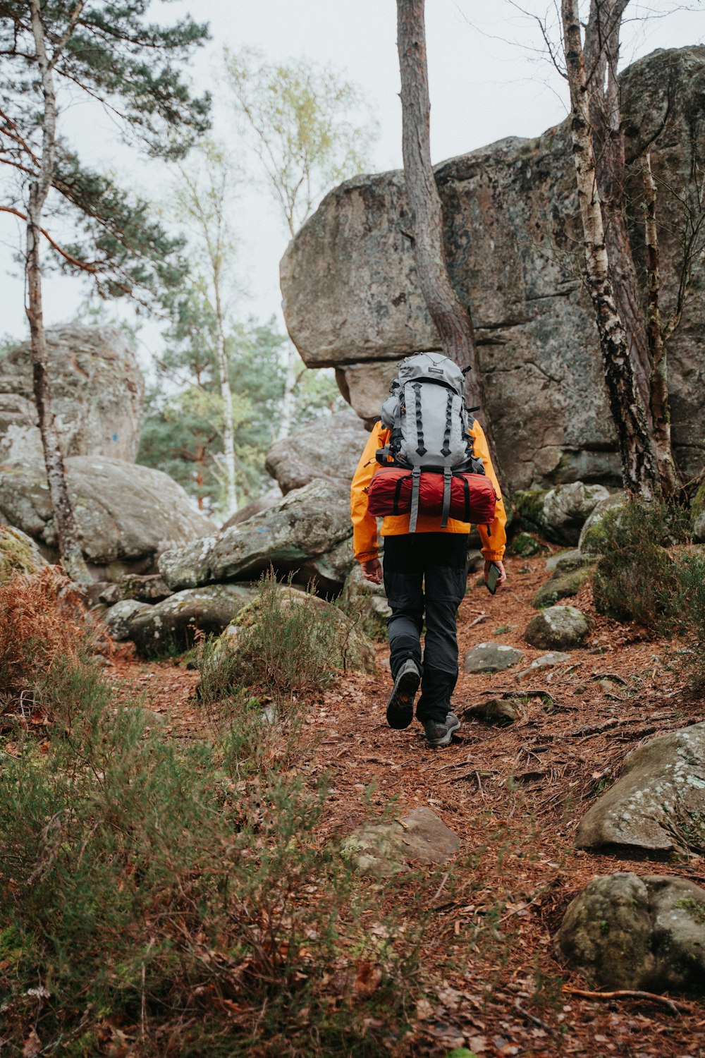 a person with a backpack walking up a trail