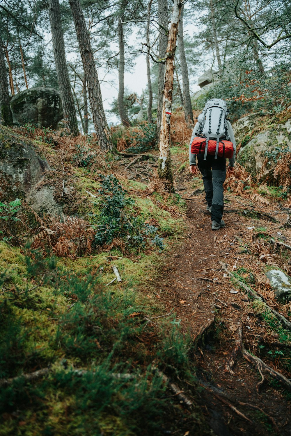 a person with a backpack walking up a trail in the woods