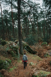 a person walking in the woods with a backpack