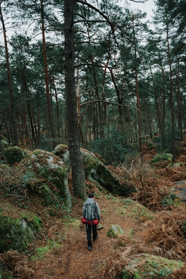 a person walking in the woods with a backpack