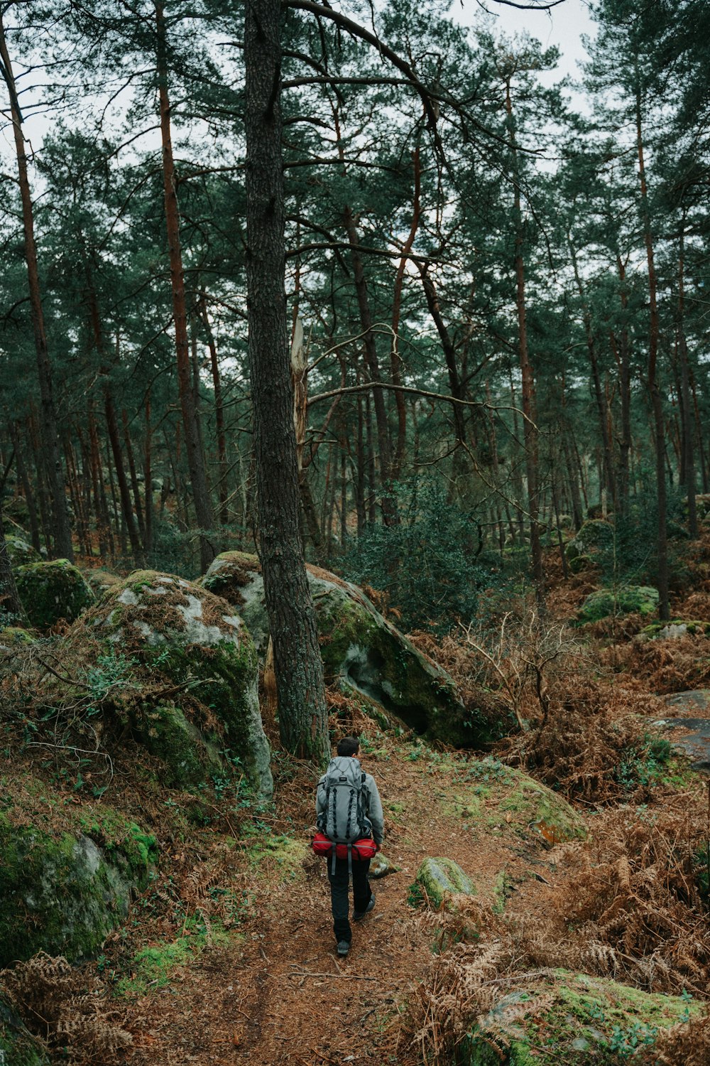 a person walking in the woods with a backpack