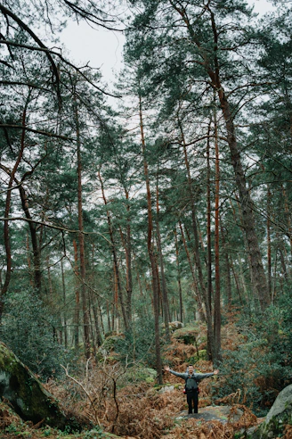 a person standing in the middle of a forest
